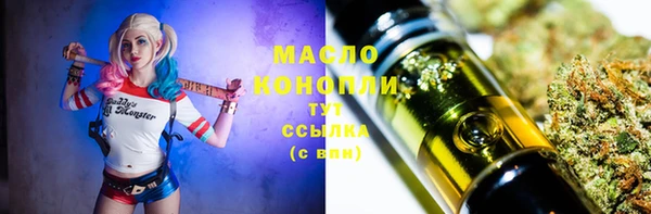 шишки Михайловск