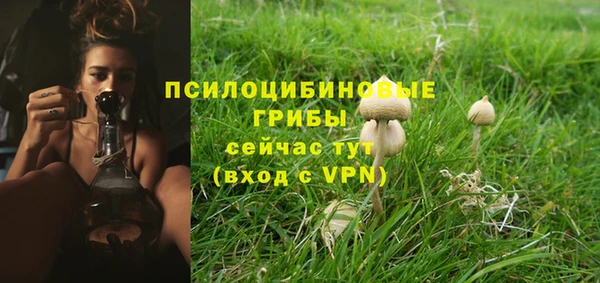 гидропоника Навашино