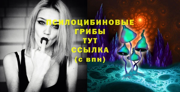 PSILOCYBIN Михайловка