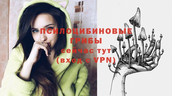 винт Михайлов