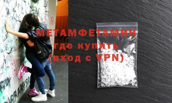шишки Михайловск