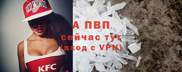шишки Михайловск