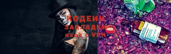 шишки Михайловск