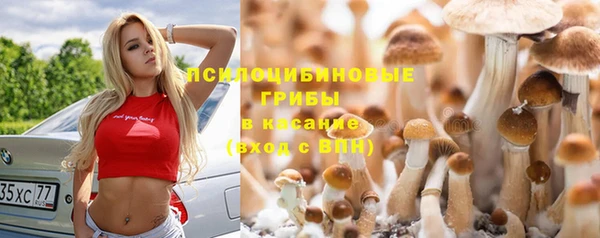 гидропоника Навашино