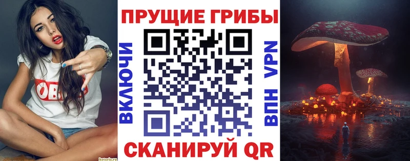 Псилоцибиновые грибы Psilocybine cubensis  дарнет шоп  Ливны 