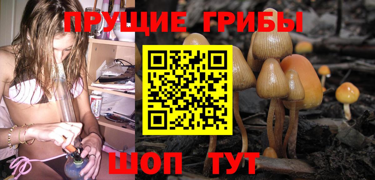 Ливны  Галлюциногенные грибы ЛСД  Вход с VPN 
